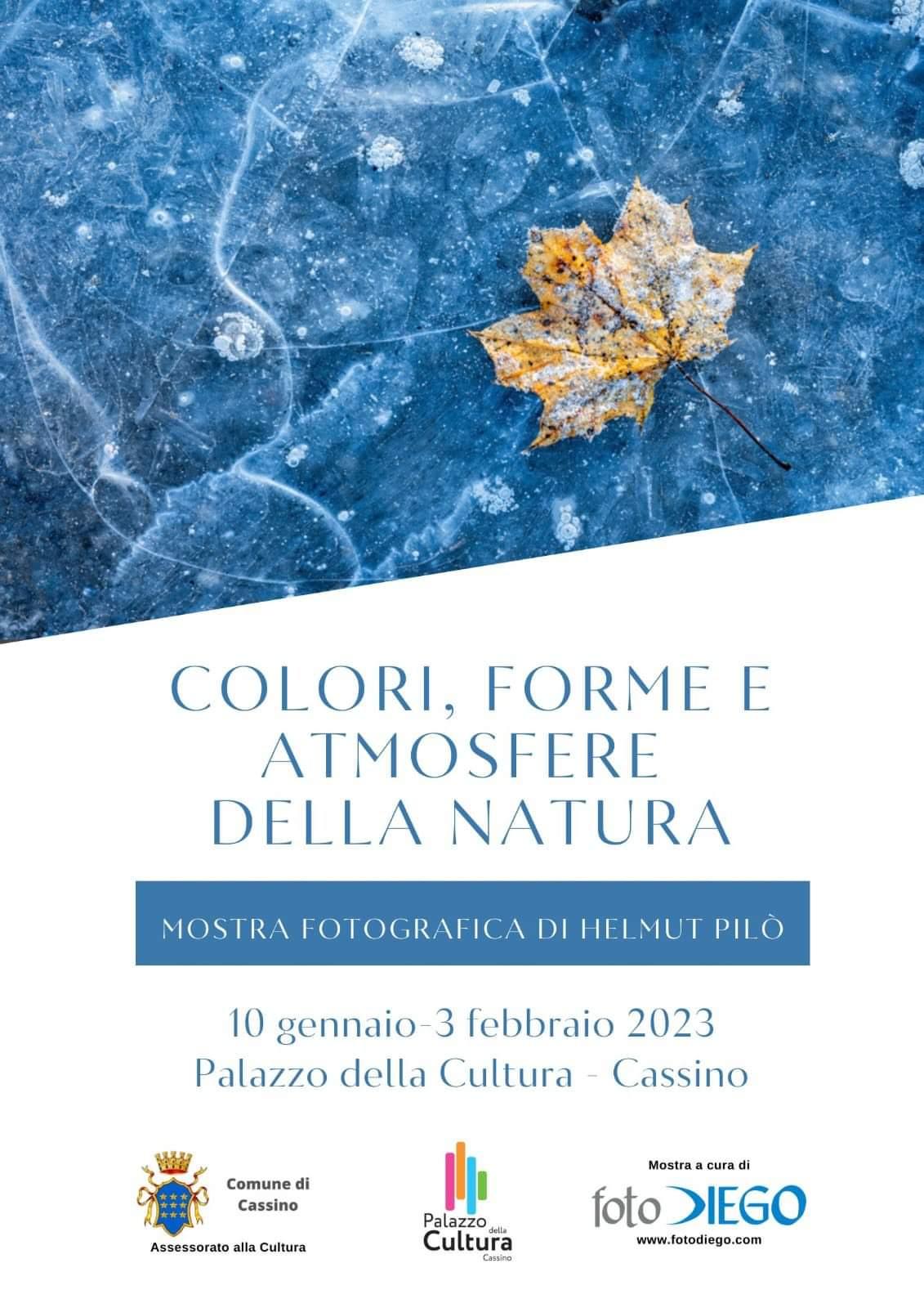 mostra helmut pilo locandina